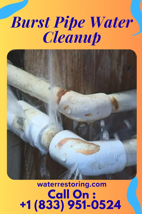 Burst Pipe Water Cleanup in Zion, PA