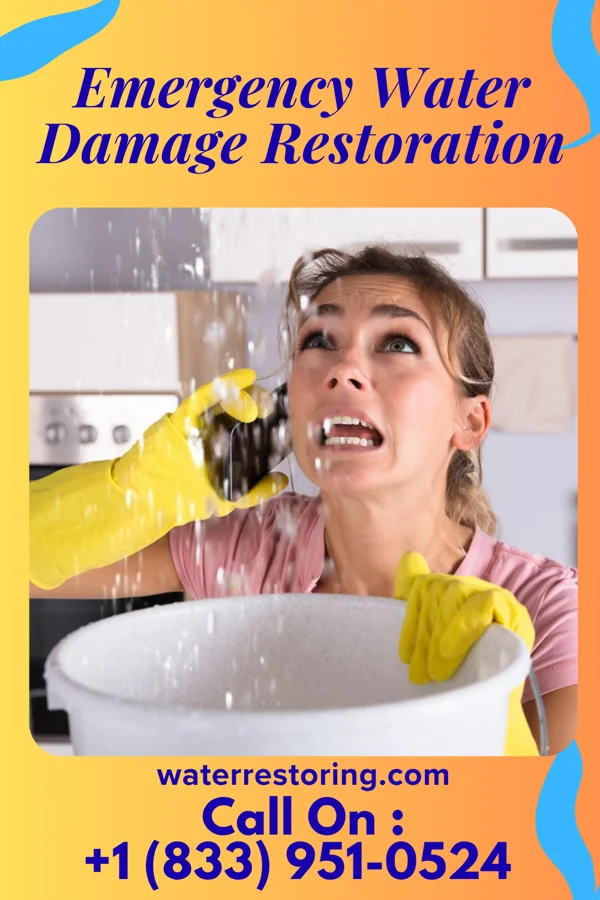 Emergency Water Damage Restoration in Zion, PA