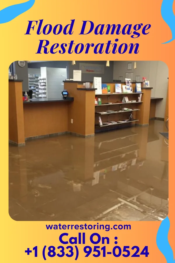 Flood Damage Restoration in Zion, PA