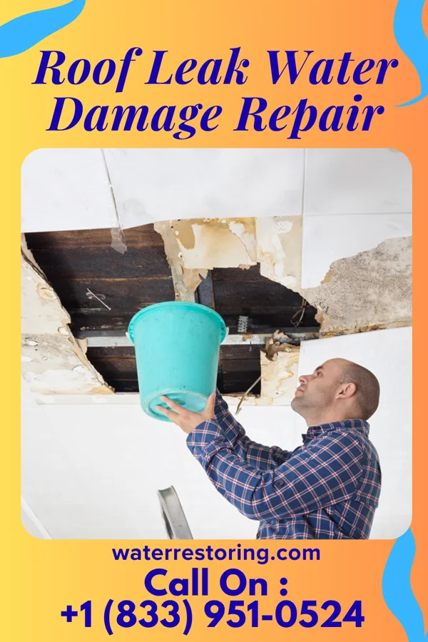 Roof Leak Water Damage Repair in Zion, PA