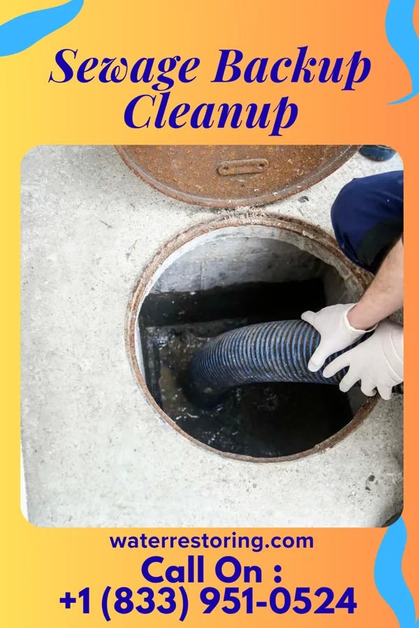Sewage Backup Cleanup in Zion, PA