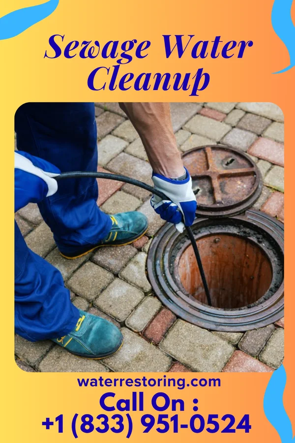 Sewage Water Cleanup in Zion, PA