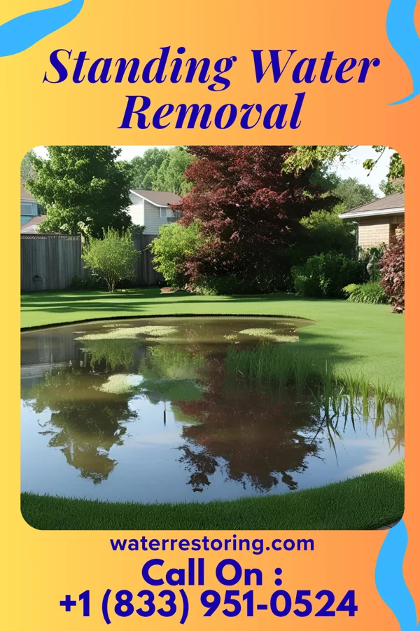 Standing Water Removal in Zion, PA